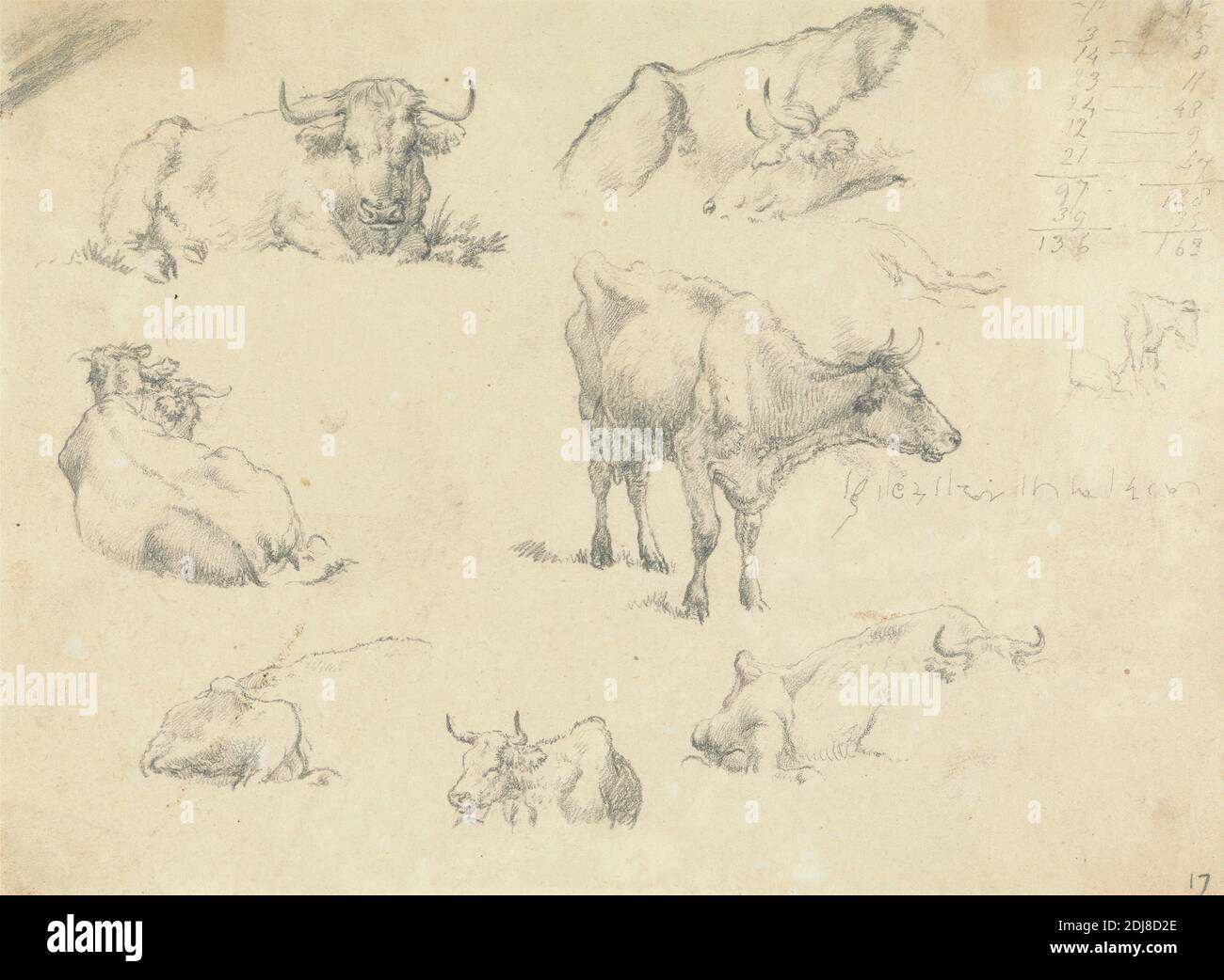 Cows From Various Angles, Robert Hills, 1769–1844, British, undated, Graphite on medium, slightly textured, beige wove paper, Sheet: 6 1/2 × 9 inches (16.5 × 22.9 cm), animal art, cows, grass, studies (visual works Stock Photo