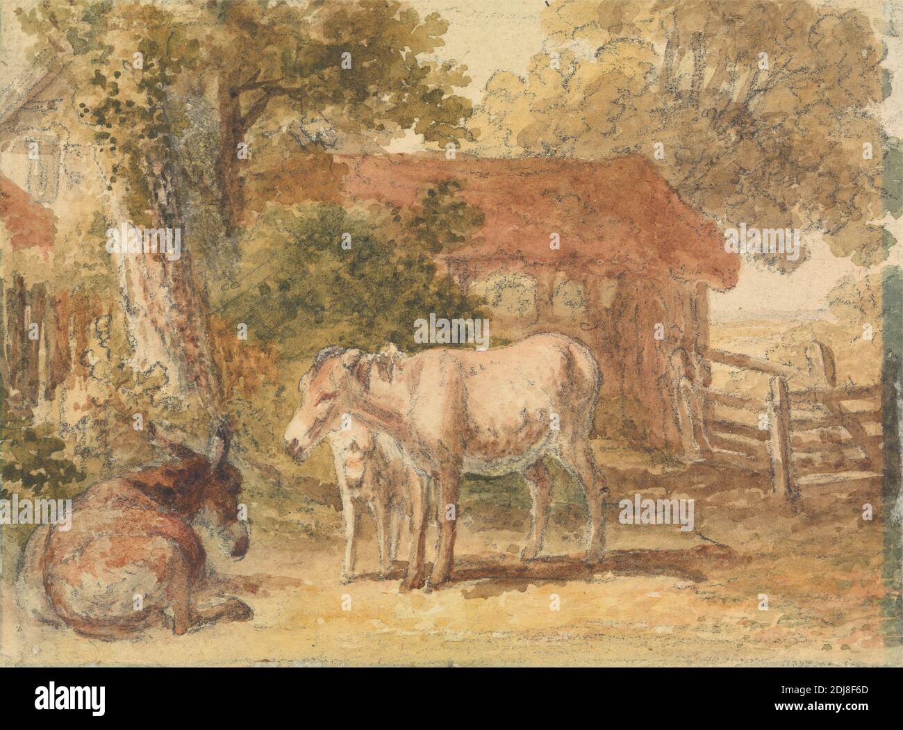 3 Donkeys High Resolution Stock Photography and Images - Alamy