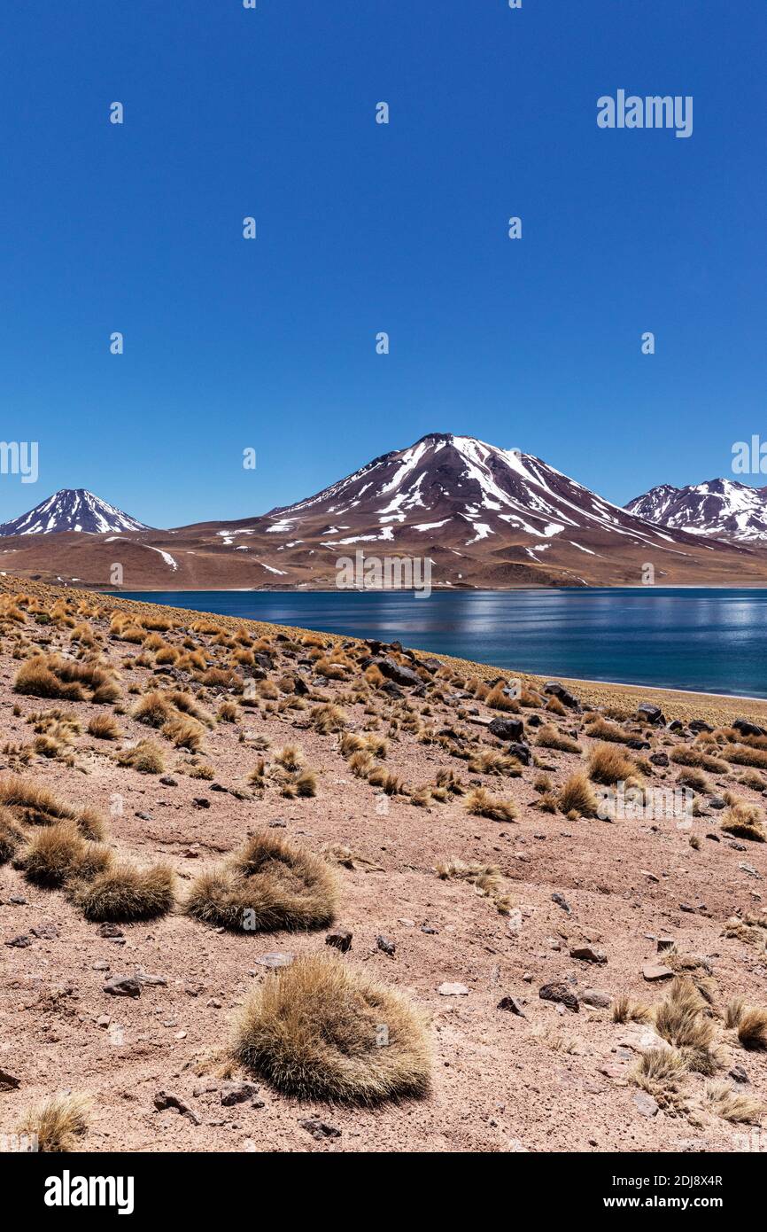 Laguna Miscanti, a brackish lake at an altitude of 4,140 meters in the Andean Central Volcanic Zone, Chile. Stock Photo