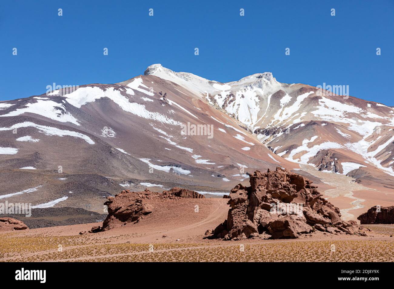 Area near the Argentine border with Chile in the Andean Central Volcanic Zone, Antofagasta Region, Chile. Stock Photo