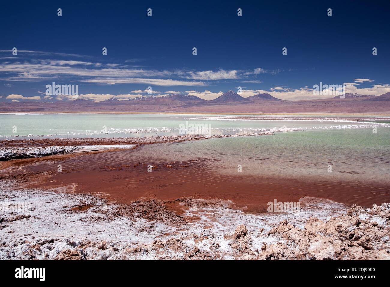 Laguna Tebenquicne, a salt water lagoon in the Salar de Atacama, Los Flamencos National Reserve, Chile. Stock Photo