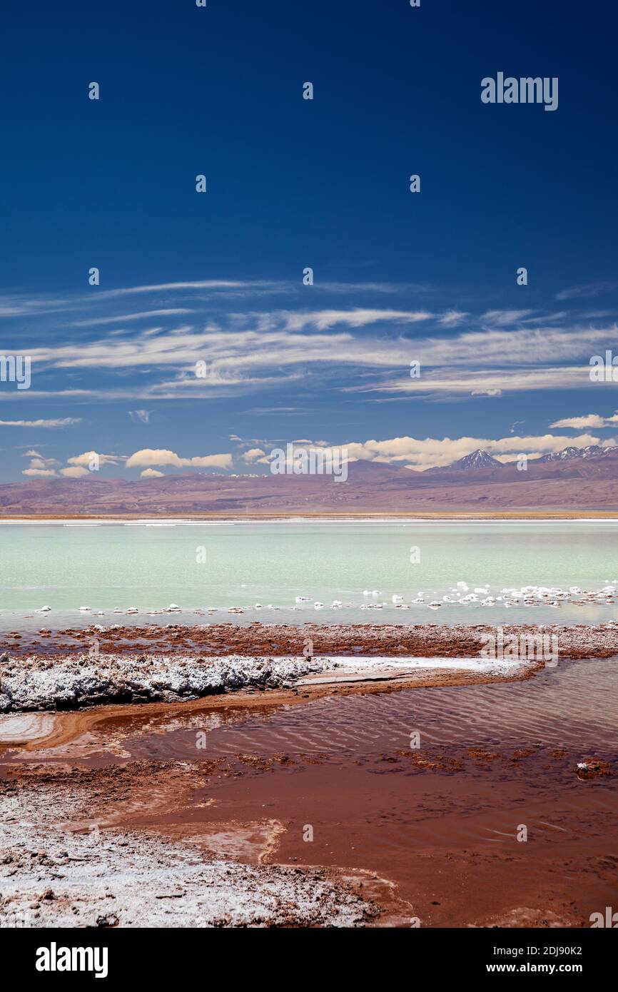 Laguna Tebenquicne, a salt water lagoon in the Salar de Atacama, Los Flamencos National Reserve, Chile. Stock Photo