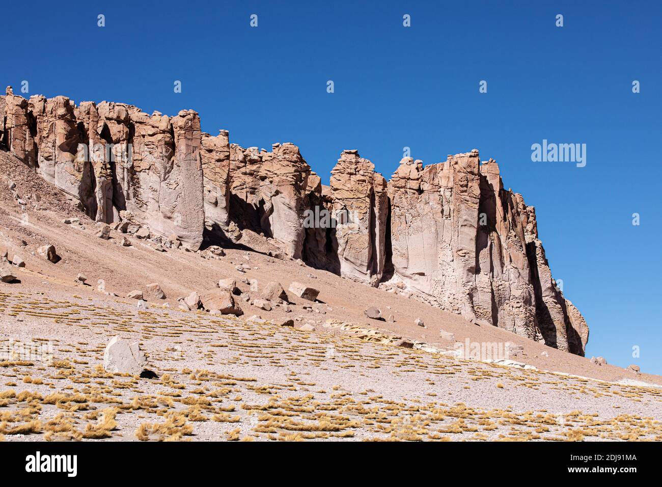 Stone formations at Salar de Tara y Aguas Calientes I, Los Flamencos National Reserve, Antofagasta Region, Chile. Stock Photo