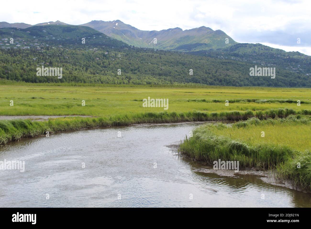 Rabbit Creek at Potter Marsh in Anchorage, Alaska Stock Photo Alamy