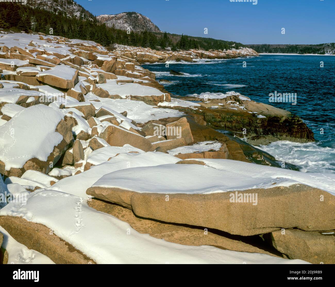 Thunder Hole, Sand Beach, Acadia National Park, Maine Stock Photo