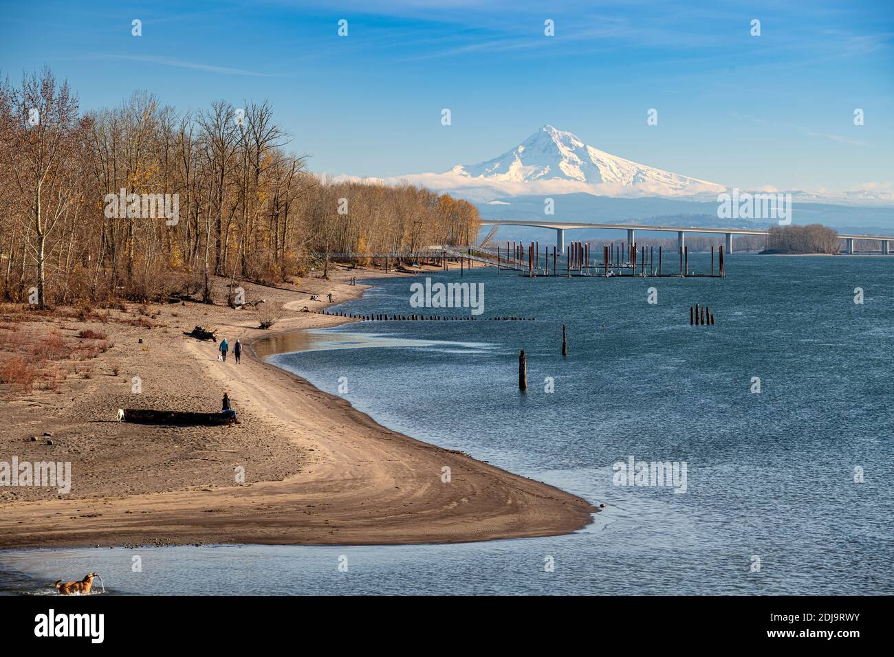 Wintery landscape Mt. Hood and the Columbia river with I205 bridge connecting Washington and Oregon states. Stock Photo