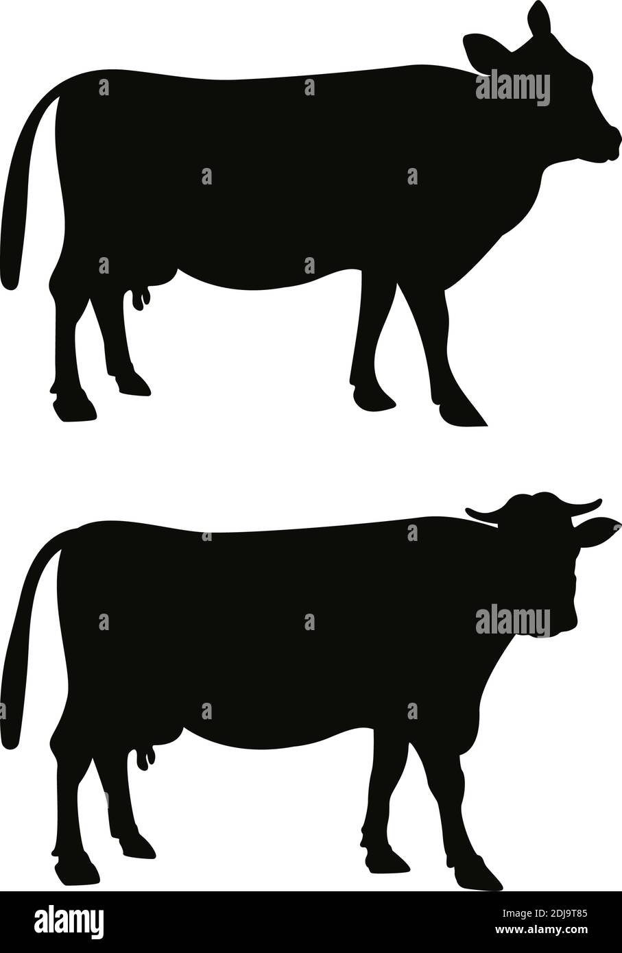 Beef cow image Stock Vector Images - Alamy