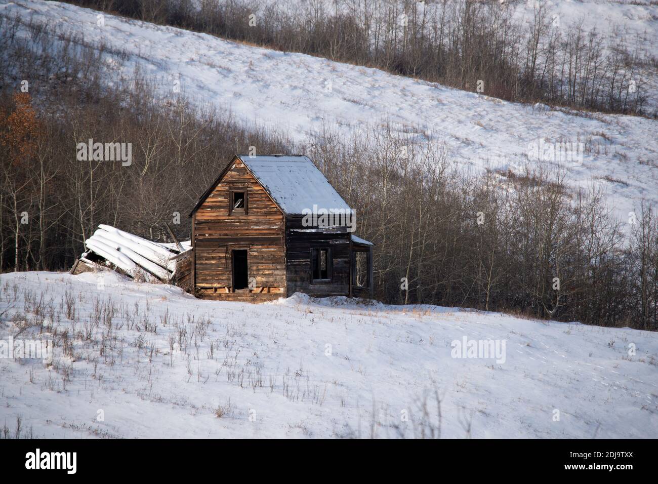 Old abandoned Canadian farmhouse in winter. Stock Photo