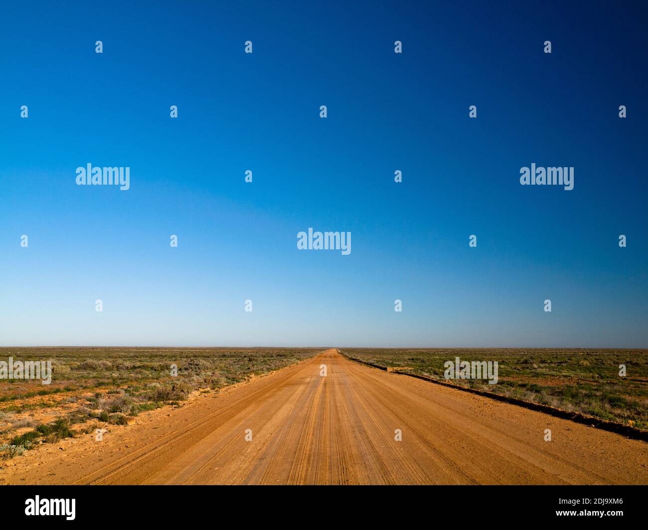 The unsealed William Creek Road cuts straight through blue sky and desert towards Coober Pedy