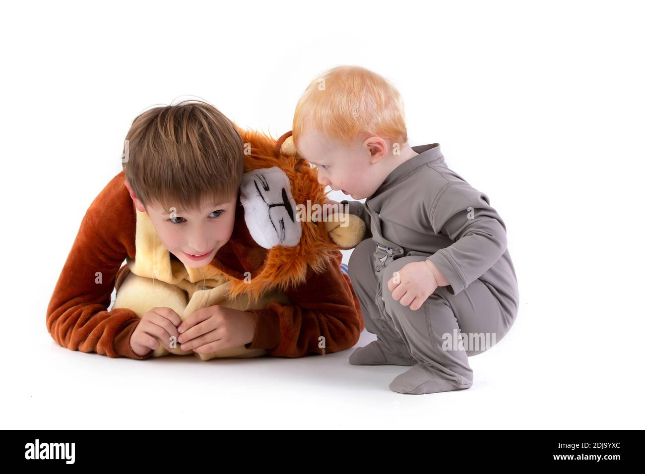 On a white background, the kid plays with his brother, dressed in a  carnival lion costume. Elder and younger brother play. Funny kids Stock  Photo - Alamy