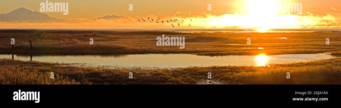 Marsh Sunrise Stock Photo