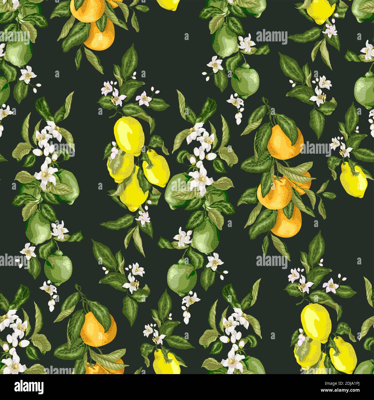 Vector high quality pattern with citurs elements in graphic illustration in realistic bright colors with fruits of lime, orange and lemon tree and cit Stock Vector