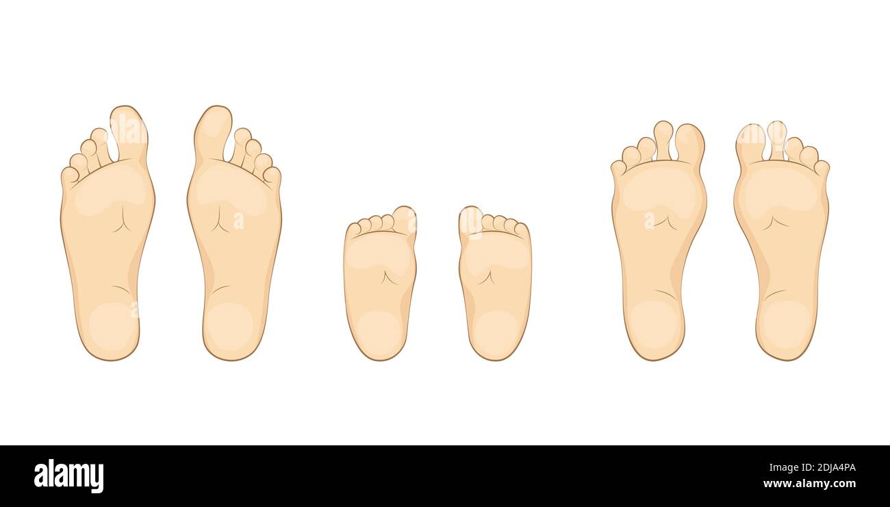 Vector illustration of a baby,mother and father soles. feet, sole, body