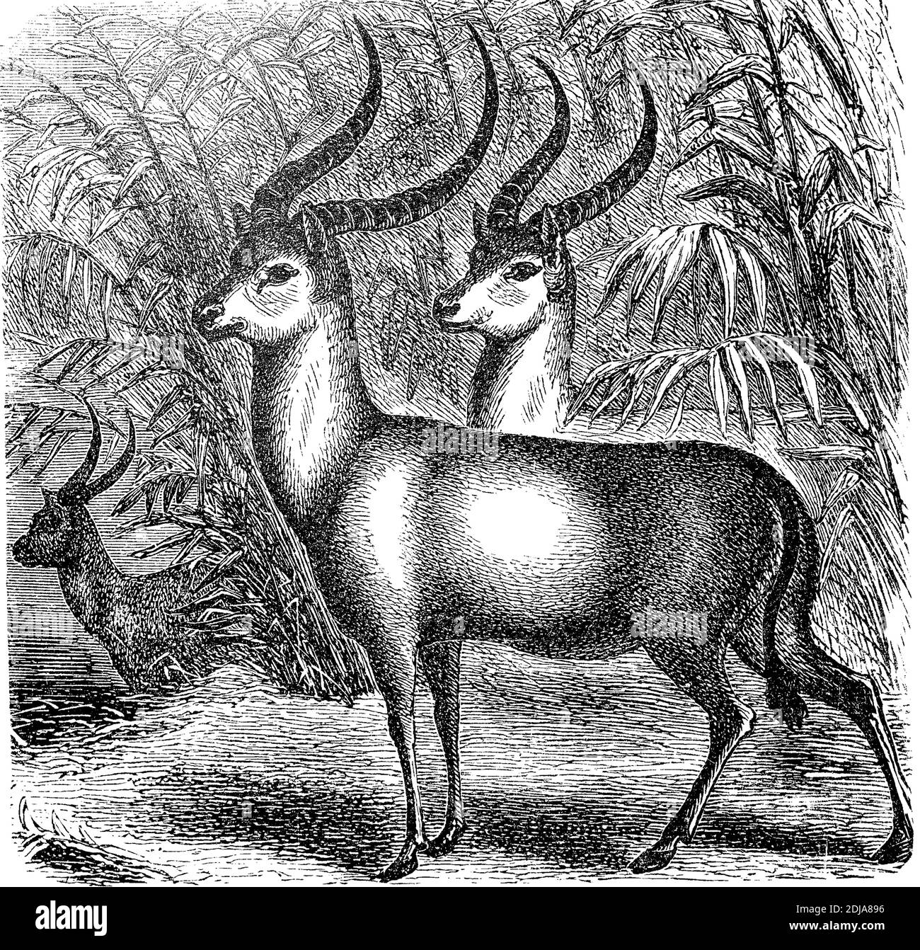 My Image 26
