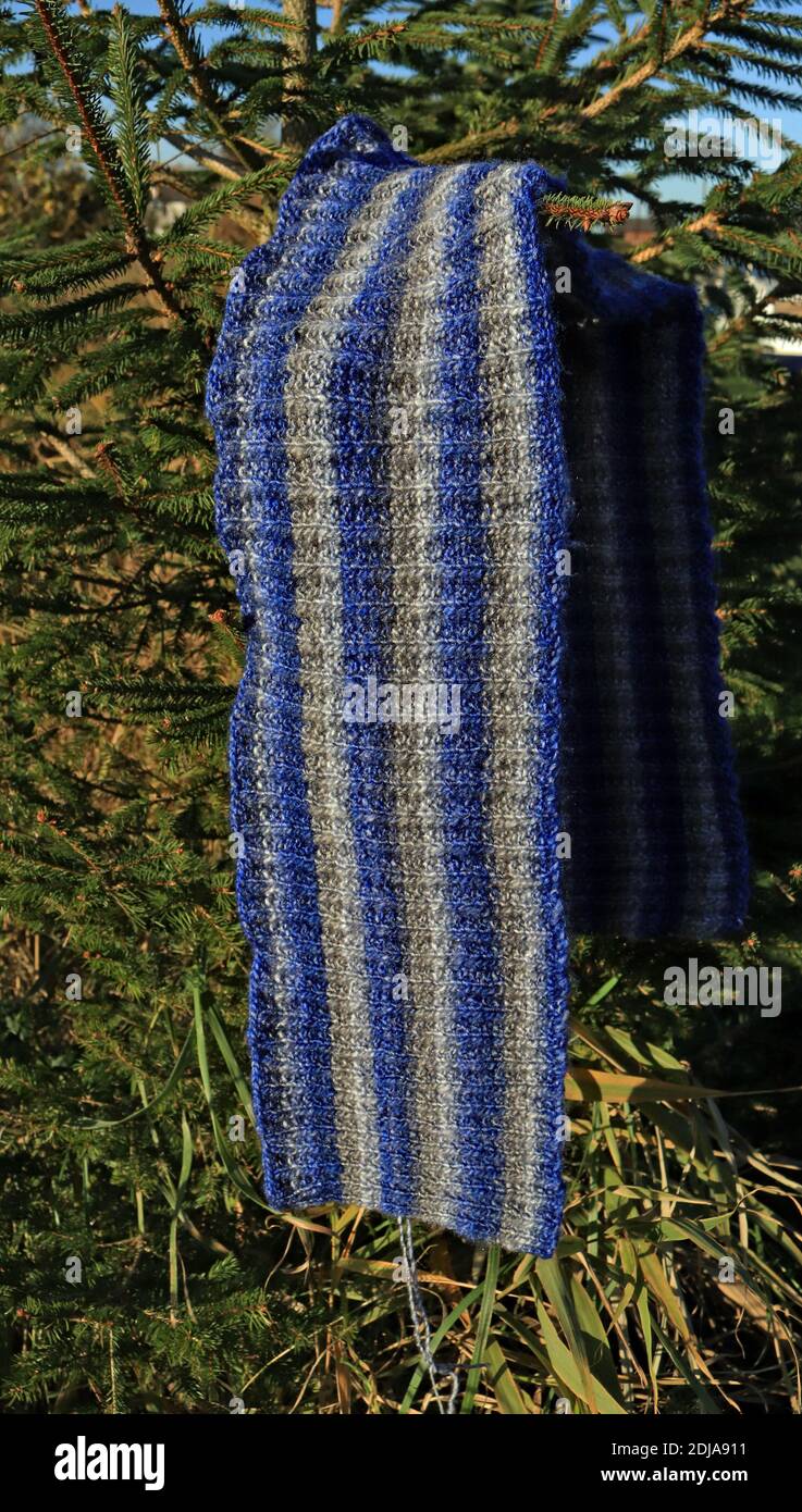 A Shades of Blue Landscape neck scarf displayed hanging the branches of a conifer tree, the scarf has been hand knitted by Carole Wareing Stock Photo