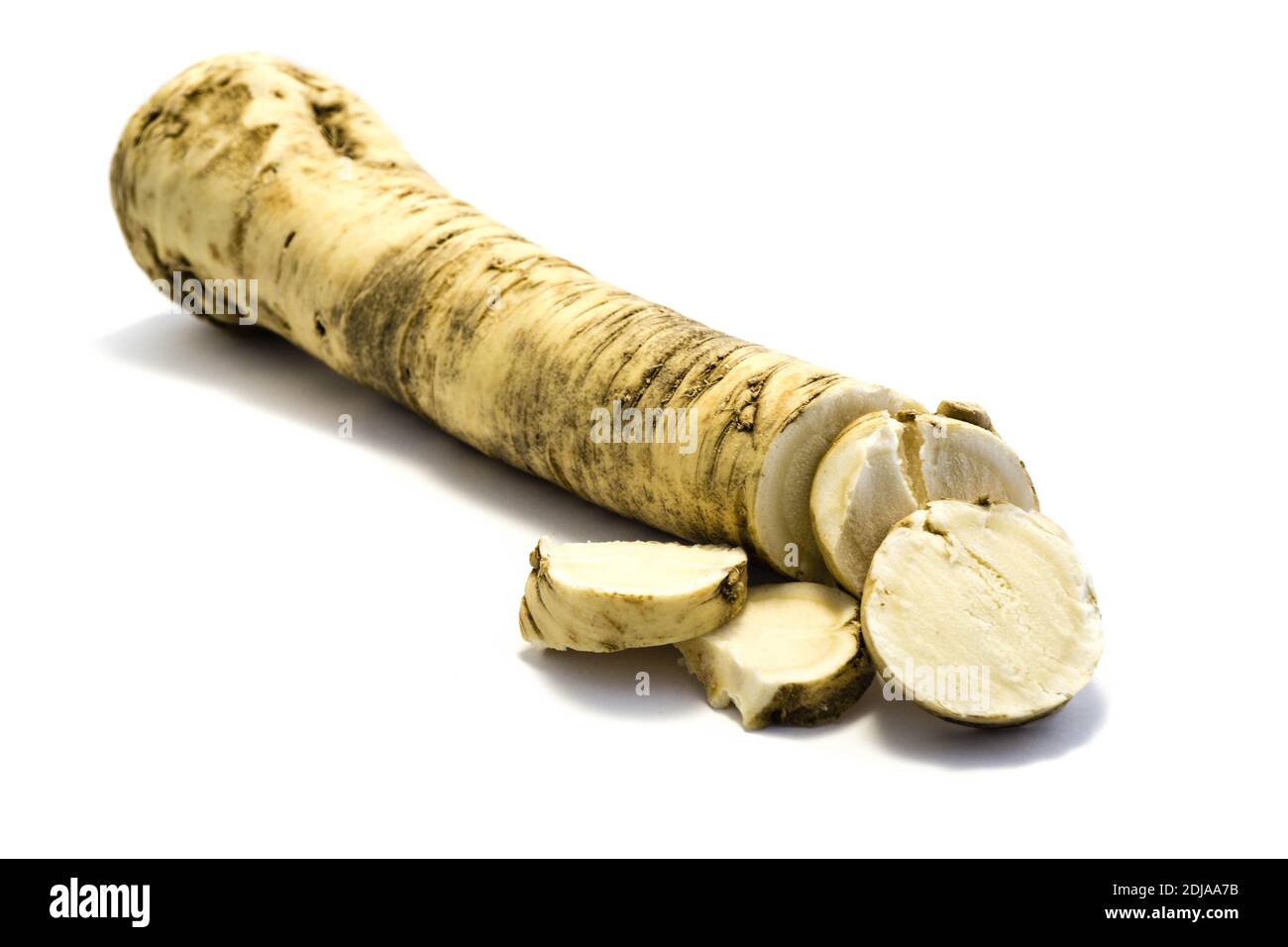 horseradish isolated on white background Stock Photo