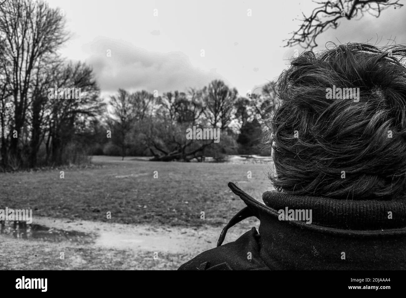 A alone man back side, who is looking for the nature in park Amsterdam. Black and white photo. Stock Photo