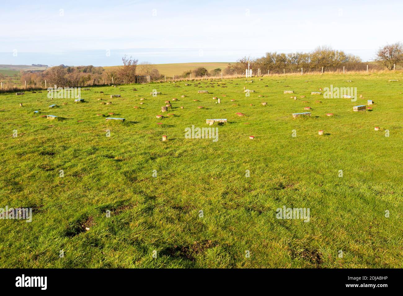 Concrete post markers at neolithic The Sanctuary prehistoric site, Overton Hill, Wiltshire, England, UK Stock Photo
