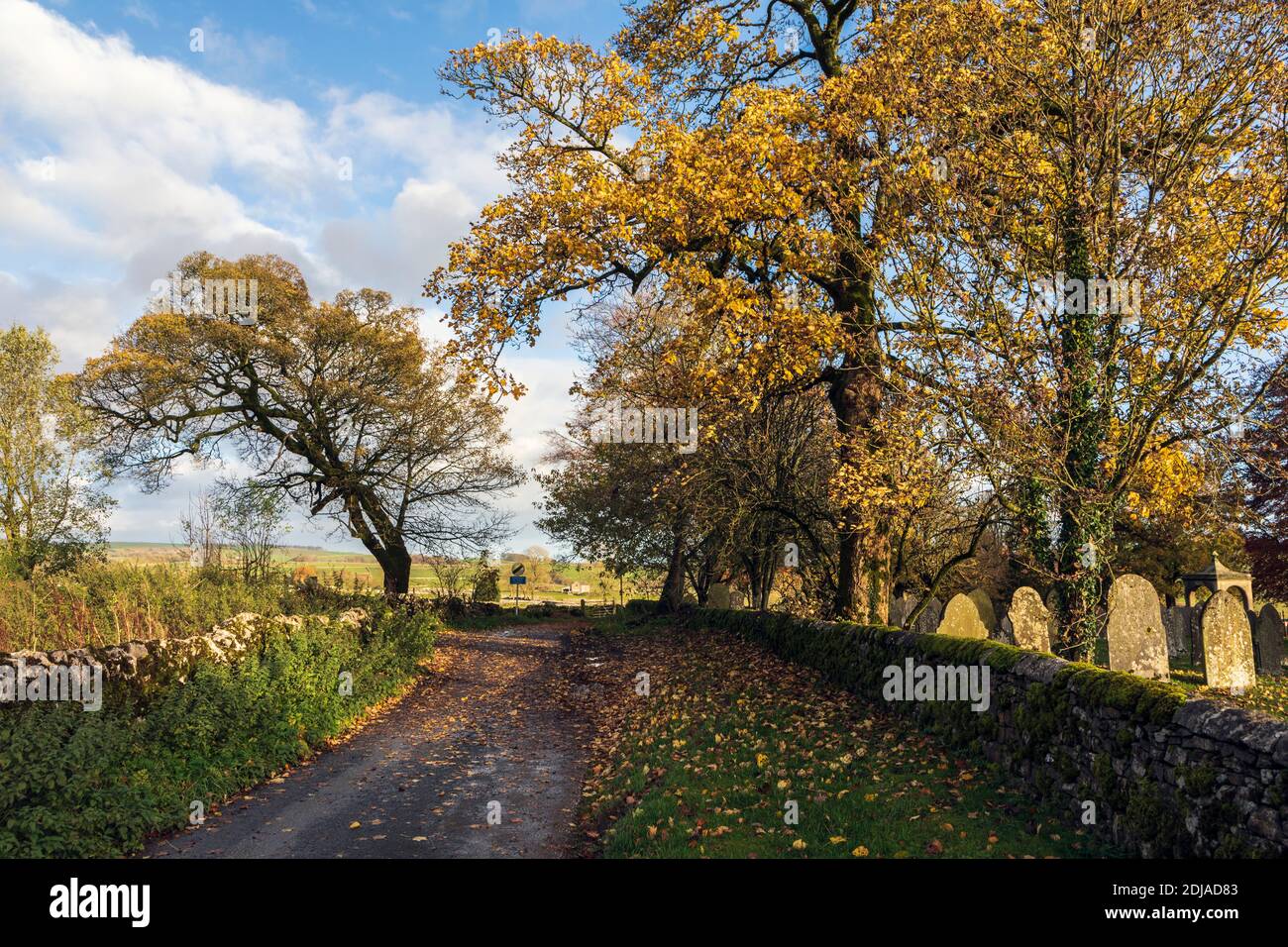 Autumn colours in a country lane, Alstonefield, Peak District National Park, Staffordshire Stock Photo