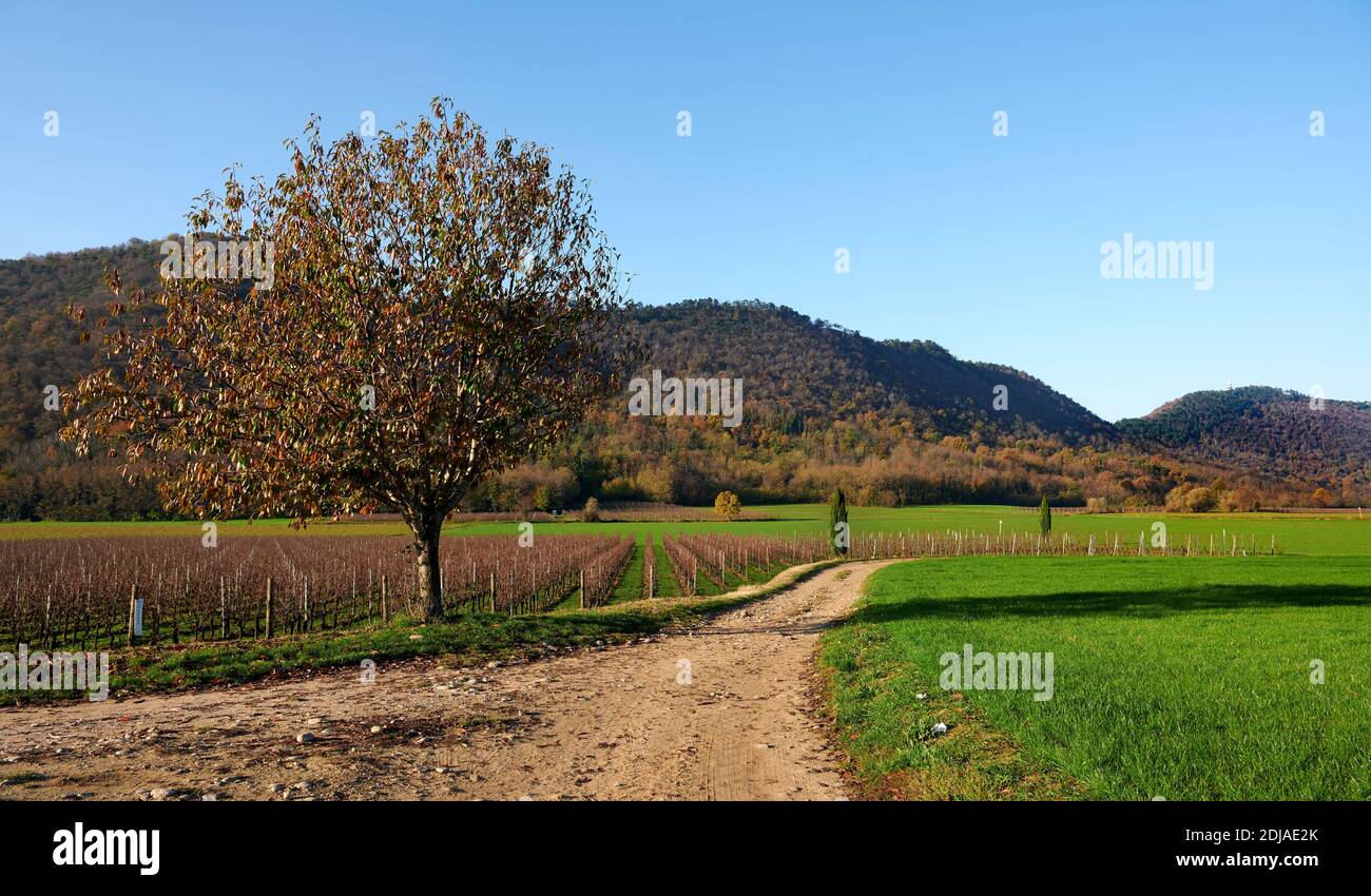 Erbusco (Bs), Italy, view of the countryside Stock Photo - Alamy