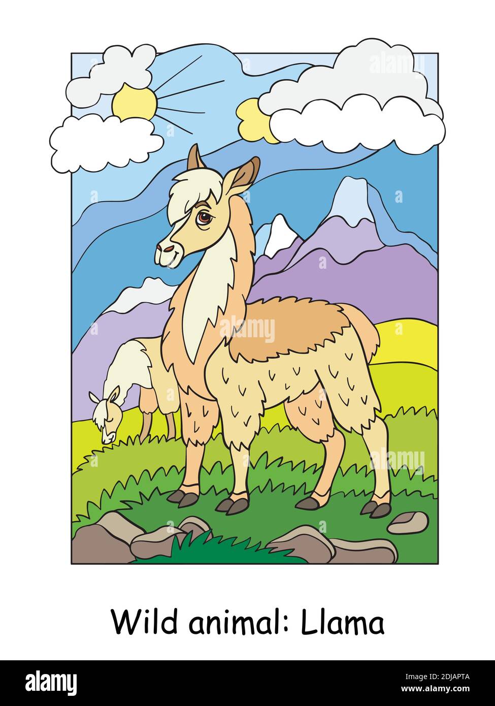 Vector colorful illustration with cute llama in mountain area. Cartoon contour illustration isolated on white background. Stock illustration for color Stock Vector