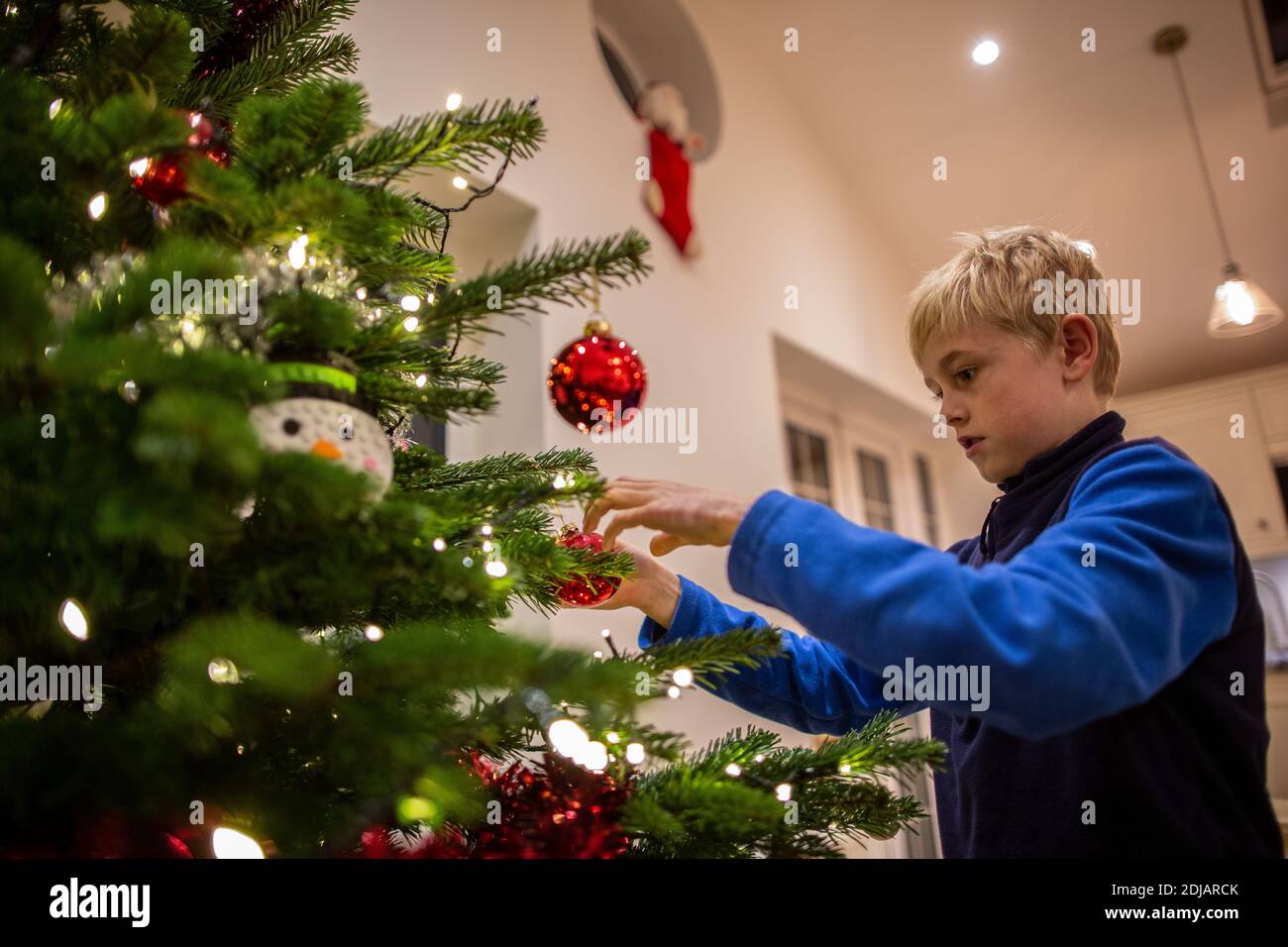 Family at home decorating their Christmas tree ahead of the Xmas festive period, United Kingdom Stock Photo