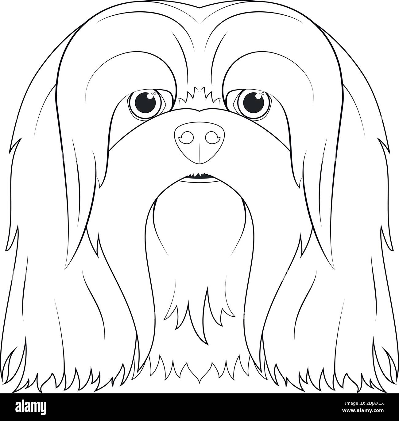 Lhasa Apso dog easy coloring cartoon vector illustration. Isolated on white background Stock Vector