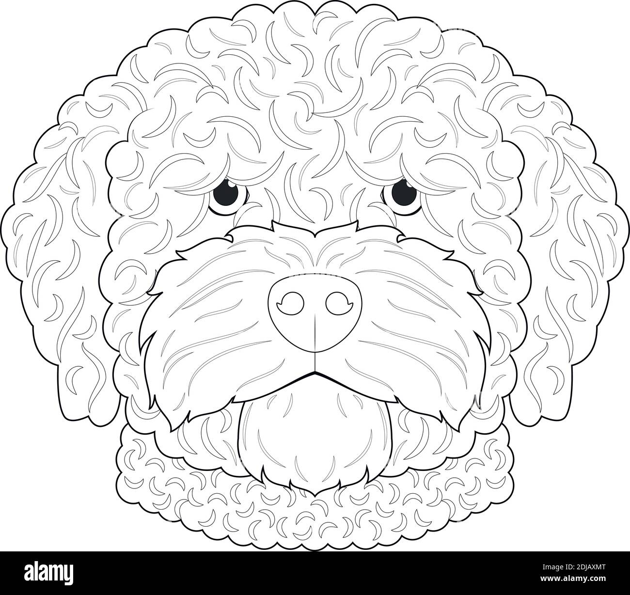 Spanish Water dog easy coloring cartoon vector illustration. Isolated