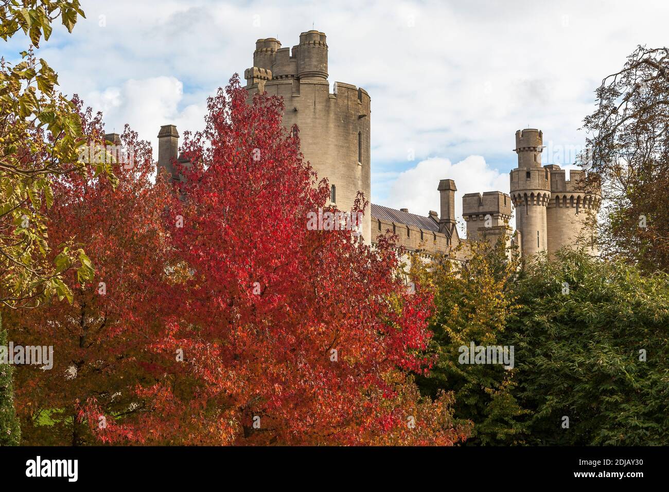 Arundel Castle towers, from the Castle gardens, Arundel, West Sussex, England, UK: Autumn colour on American sweetgum (Liquidambar styraciflua) in the Stock Photo