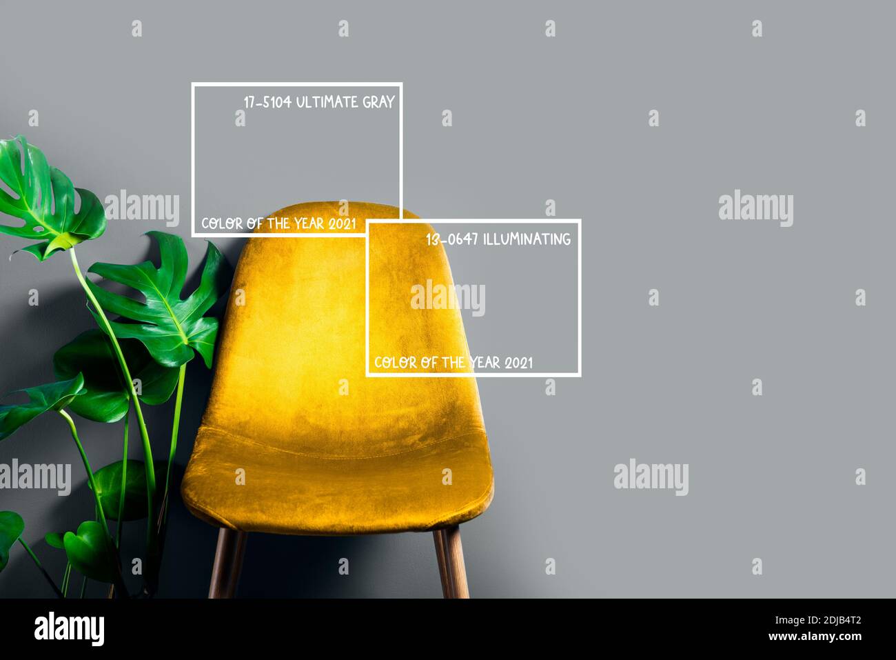 Modern Yellow Velour Chair on wooden legs Stock Photo Alamy