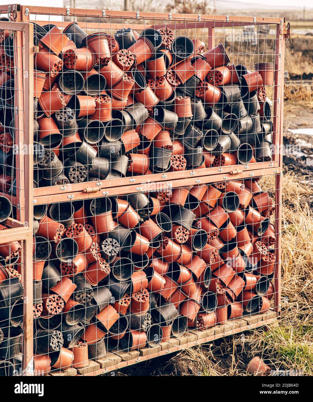 Plastic pots for seedlings Stock Photo