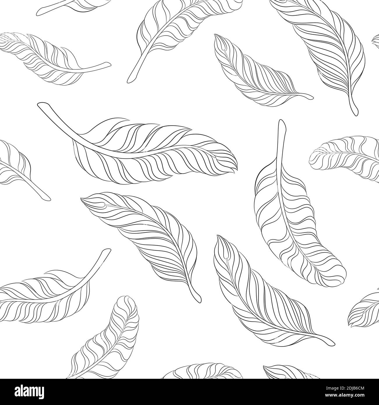 Pattern white feathers on Black and White Stock Photos & Images - Alamy