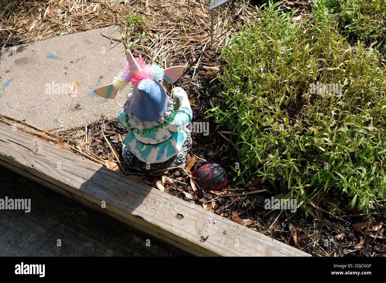 Urban Gardens plantings for cabbages, kale, mint, flowers, with excellent weather coverage and care by volunteers. Stock Photo