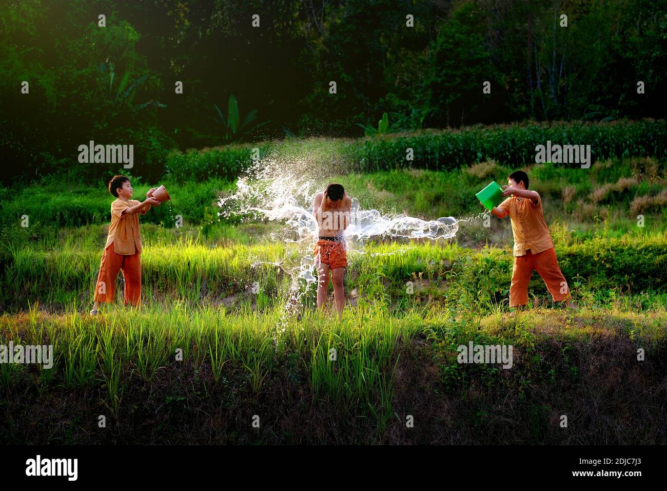 Throwing plant on water hires stock photography and images Alamy