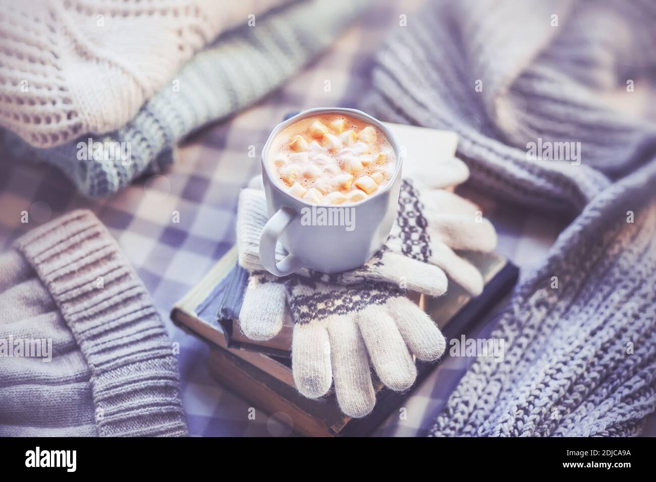 On top of a stack of books and wool gloves is an elegant mug of cappuccino with marshmallows, and next to it lie warm wool winter clothes: a hat, scar Stock Photo
