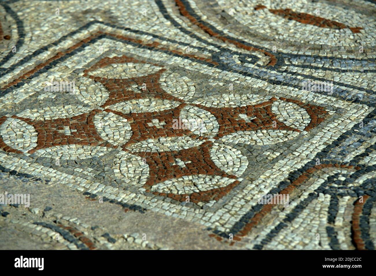 the Mosaic at the Roman Ruins of Kourion near the Town of Episkopi in the south of Cyprus.  Cyprus, Kourion, November, 2001 Stock Photo