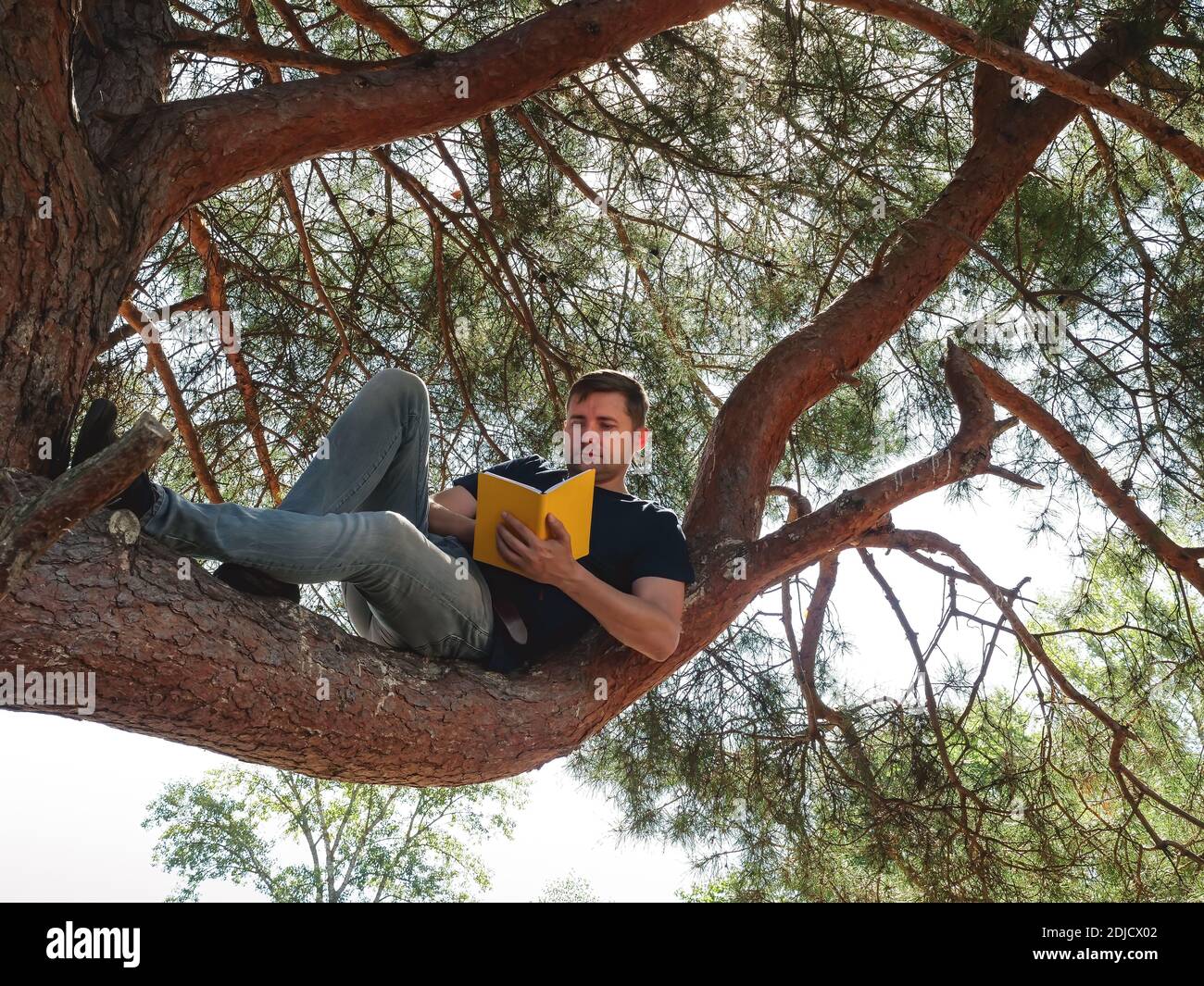 Summer outdoor recreation. The guy is reading a book while sitting on a tree branch. Stock Photo