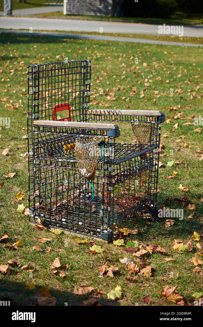 A chair, repurposed from old lobster traps, sit in a park in Belfast
