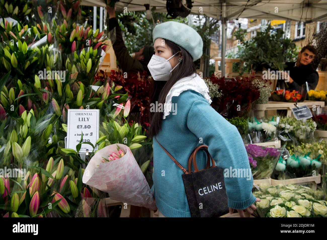 December flowers hires stock photography and images Alamy