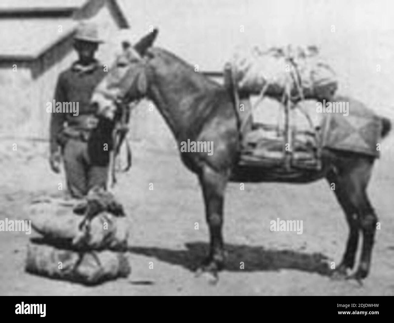 Black buffalo soldier hi-res stock photography and images - Alamy