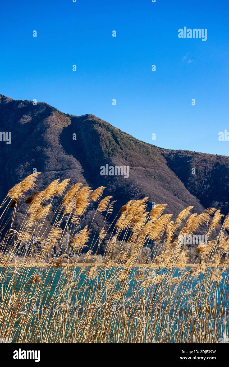 Scenic View Of Mountains Against Clear Blue Sky Stock Photo
