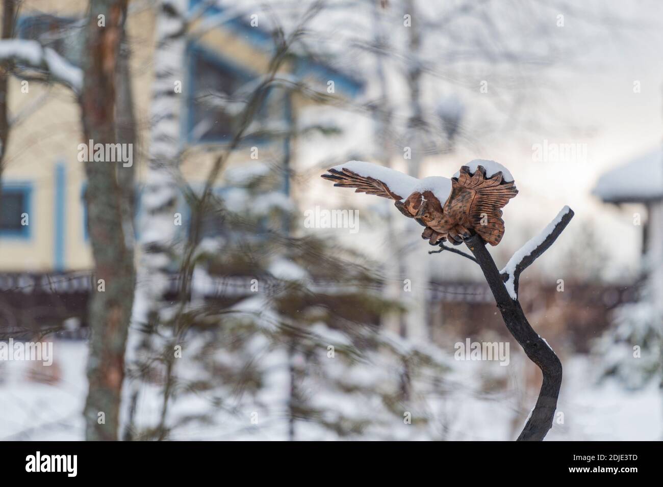 View Of Bird On Branch During Winter Stock Photo