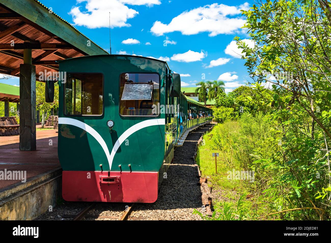 Rainforest Ecological Train at Iguazu Falls in Argentina Stock Photo
