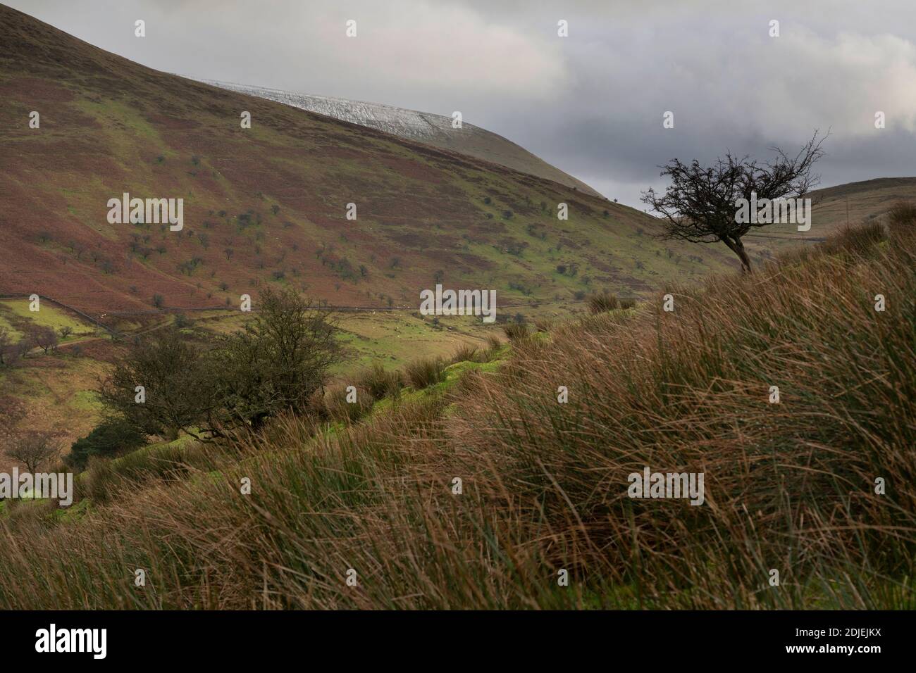 The Brecon Beacons in South Wales Stock Photo Alamy