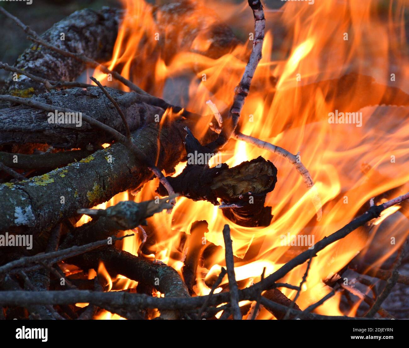 Burning bonfire dry branches in hi-res stock photography and images - Alamy