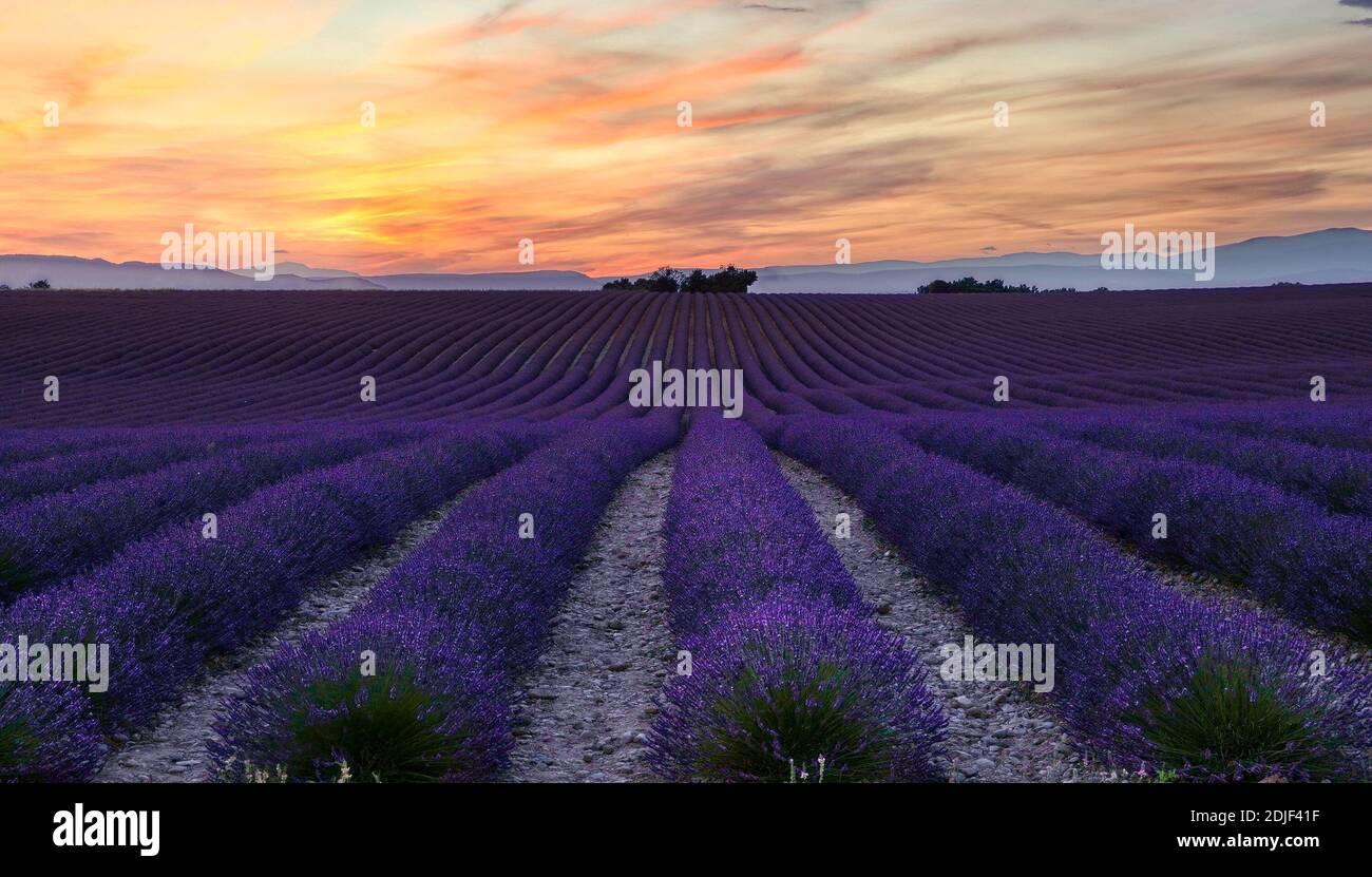 Scenic View Of Field Against Cloudy Sky During Sunset Stock Photo