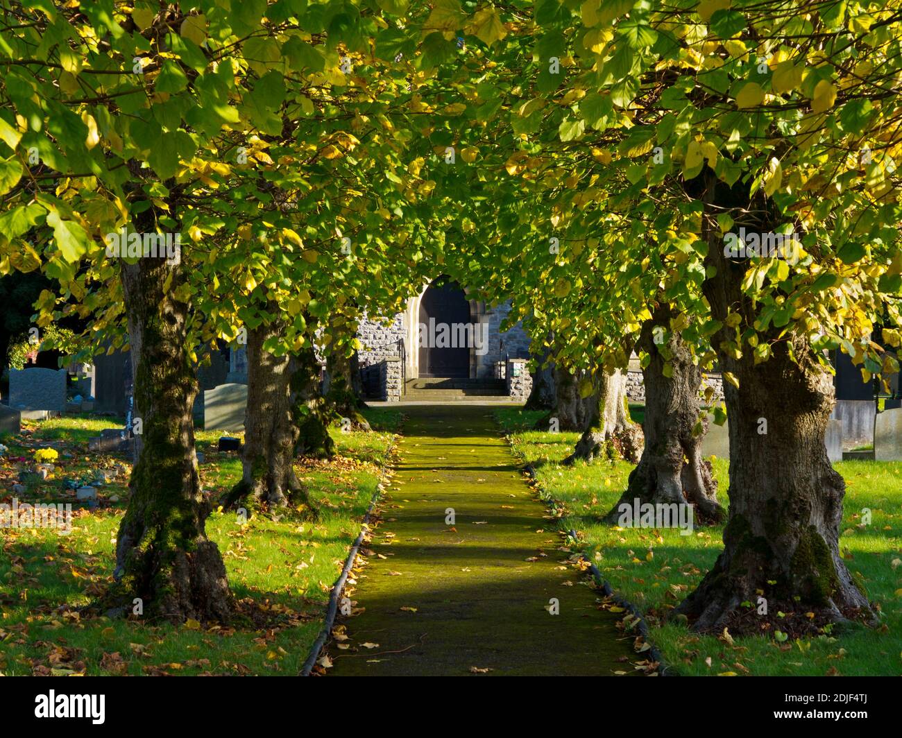 Avenue of trees and door at the Parish Church of St Barnabas in Bradwell a village in the High Peak Derbyshire England UK Stock Photo