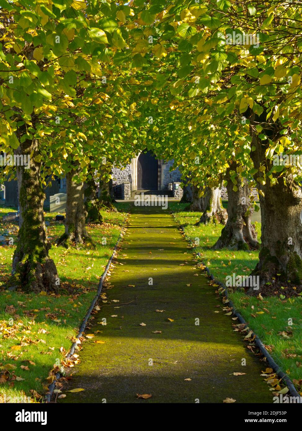 Avenue of trees and door at the Parish Church of St Barnabas in Bradwell a village in the High Peak Derbyshire England UK Stock Photo