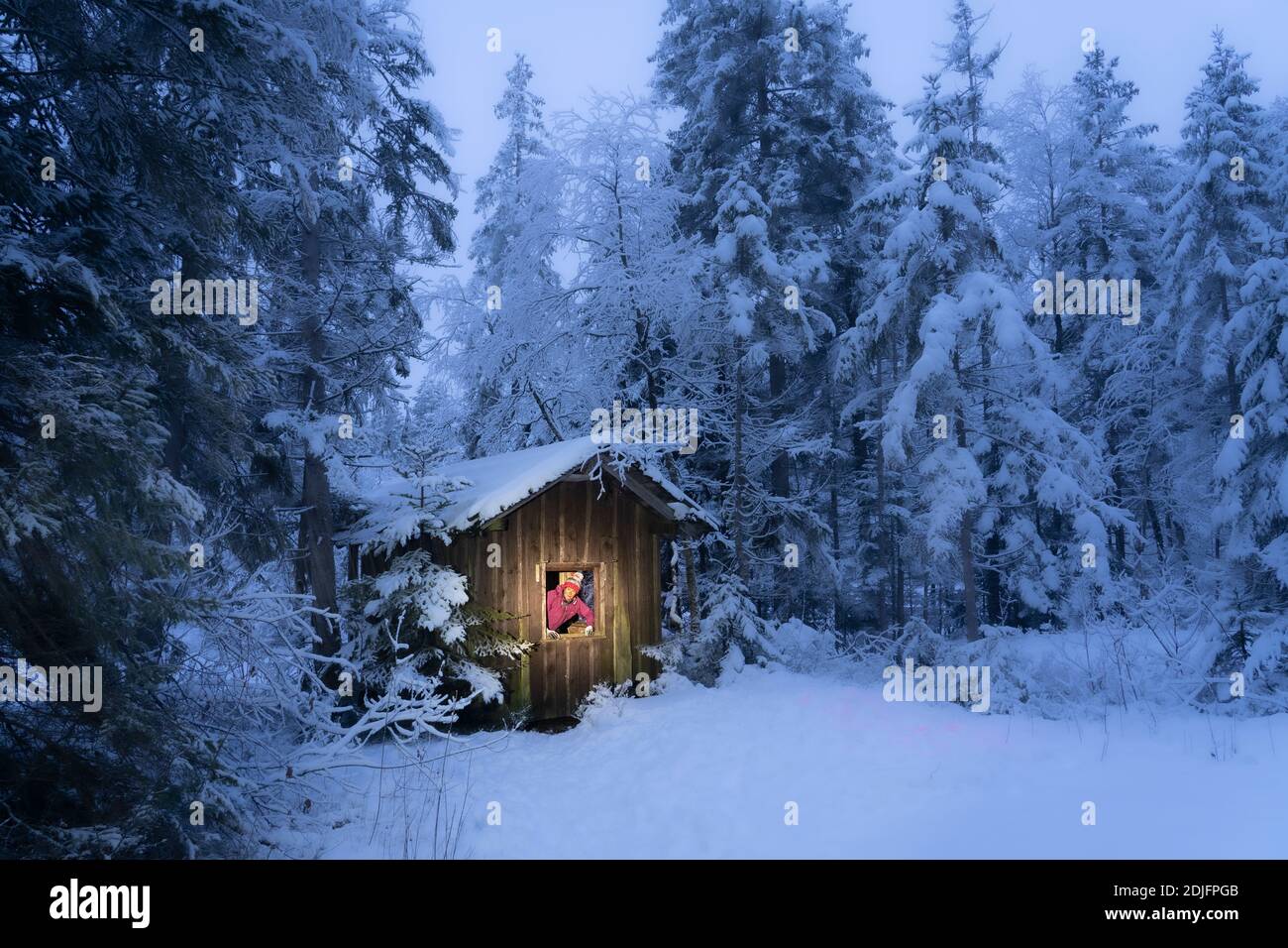 Woman looking out of the window of a lonely wooden cottage  in a deep snowy fir forest in the Allgaeu Alps, Bavaria Germany Stock Photo