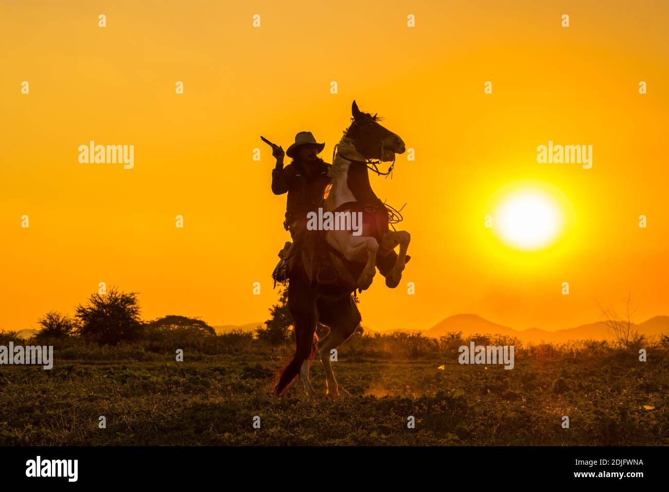 Carrying a gun hires stock photography and images Alamy